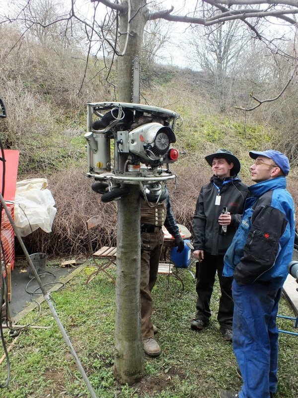 ein "Entaster" fährt automatisch den Baum hoch und runter !