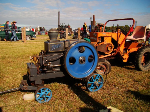 ma216 austrlaisd.jpg