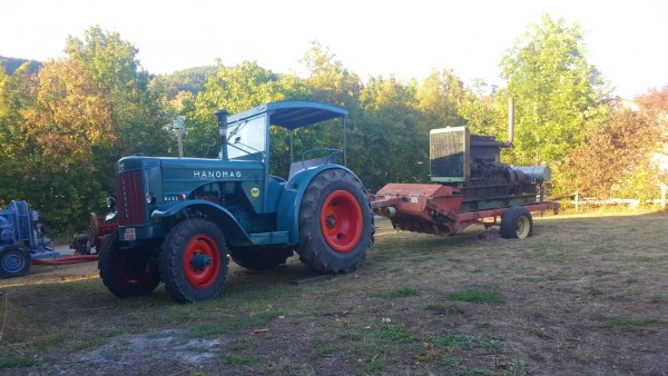 WhatsApp Image 2018-10-04 at 19.42.22.jpeg