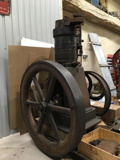 K640_bos 3 - Kopie.JPG