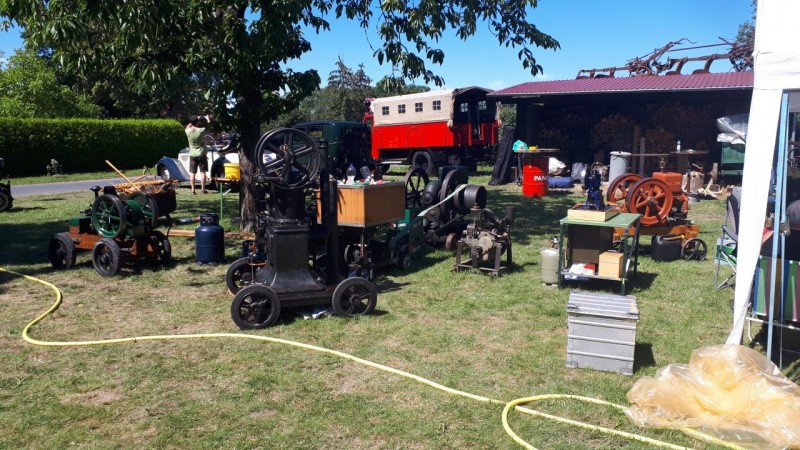 werneuchen 1 aug 2020 herzhorn jens.jpg