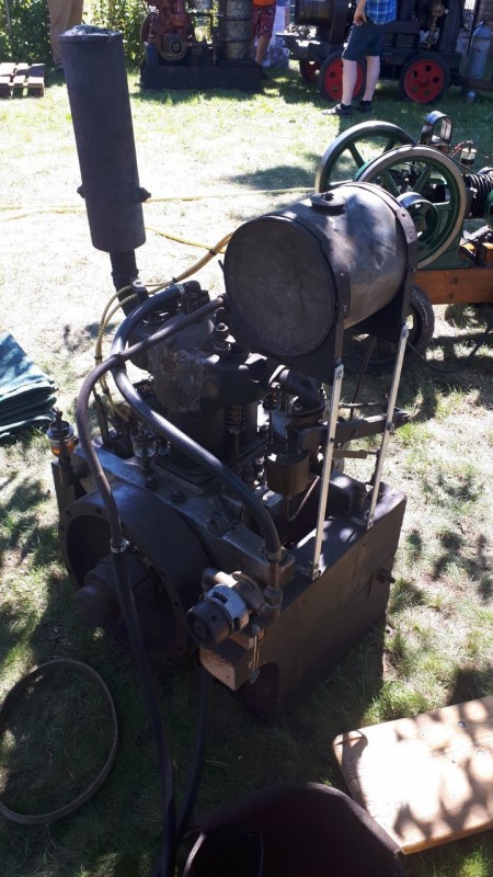 werneuchen 1 aug 2020 herzhorn jensggg.jpg