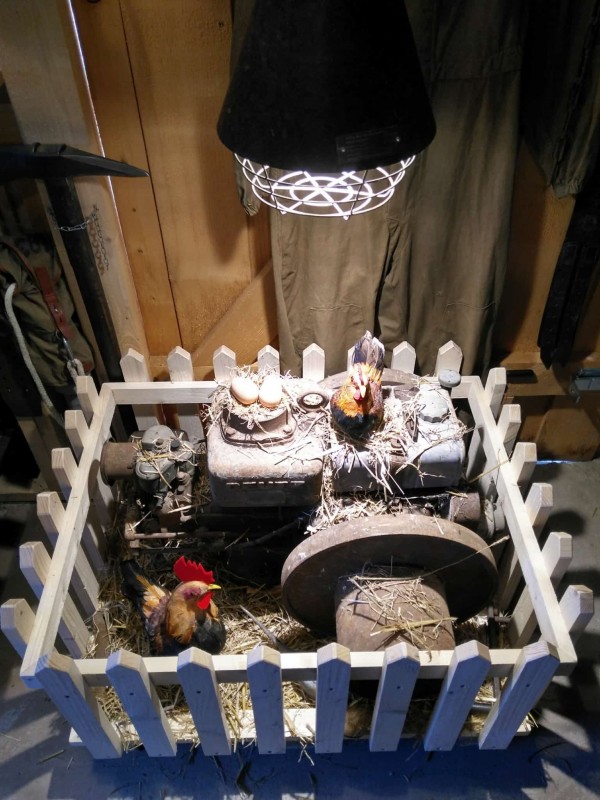 WhatsApp Bild 2024-10-07 um 08.27.40_223930e4.jpg