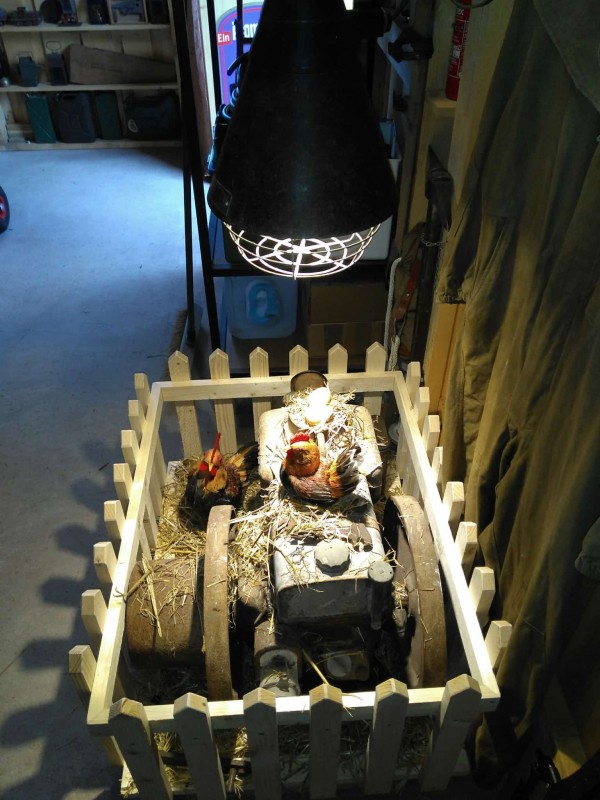 WhatsApp Bild 2024-10-07 um 08.27.40_bf4d741d.jpg