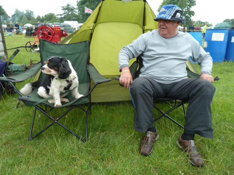 Es gab auch motorenbegeisterte Hunde